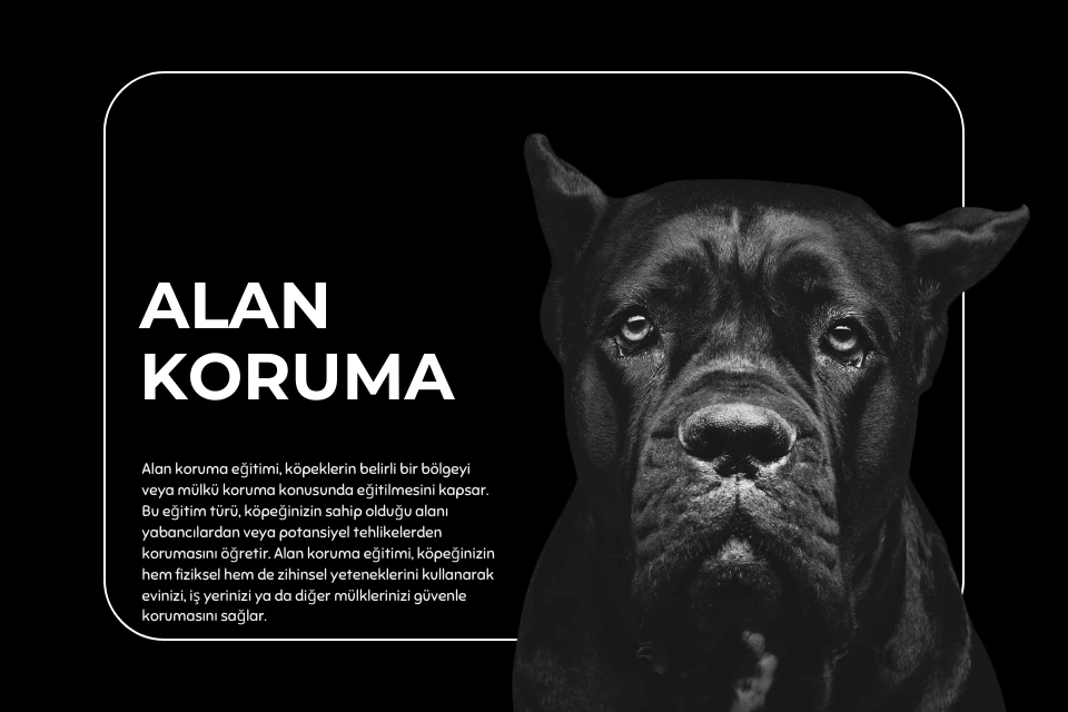 Alan Koruma Eğitimi