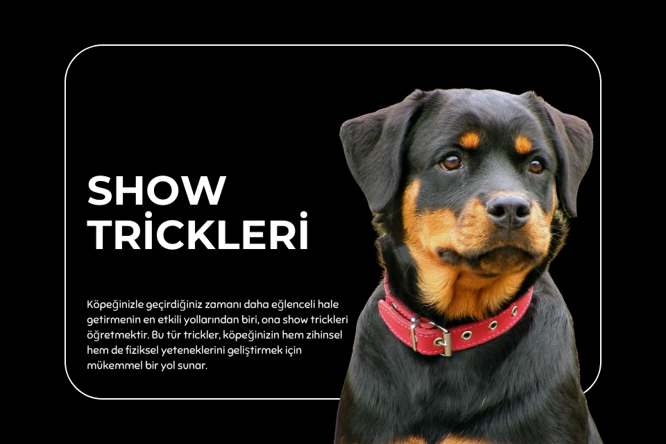 Show Trickleri